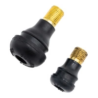 Konvertering til slangeløs luftventil