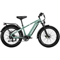 Himiway D5 Zebra High-Step Electric Bike - 750W Power | 20Ah Battery | 28mph Speed | 80mi Range