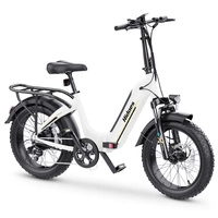 Hidoes BF1 foldbar elektrisk cykel - 750W effekt | 13Ah batteri | 25mph hastighed | 41mi rækkevidde