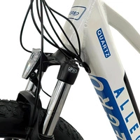 Allegro City Cruiser Electric Bike - 750W Power | 13Ah Battery | 21mph Speed | 37mi Range