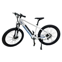 Allegro City Cruiser Electric Bike - 750W Power | 13Ah Battery | 21mph Speed | 37mi Range