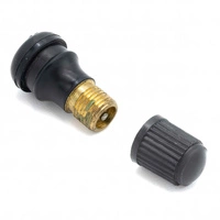 Konvertering til slangeløs luftventil