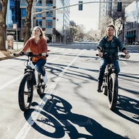 Himiway D5 Zebra High-Step Electric Bike - 750W Power | 20Ah Battery | 28mph Speed | 80mi Range