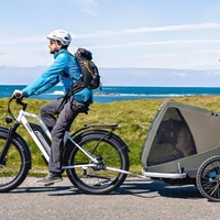 Himiway D3 Cruiser Step-Thru Electric Bike - 1200W Power | 15Ah Battery | 25mph Speed | 60mi Range