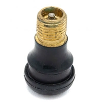 Konvertering til slangeløs luftventil