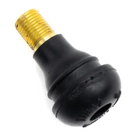 Konvertering til slangeløs luftventil