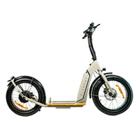 Element Bondi Electric Elektrisk scooter | Urban Performance | 500W (800W Peak) Power | 22mph Speed | 14Ah Battery | 30mi Range | 20-Inch Design | Premium Urban Transport