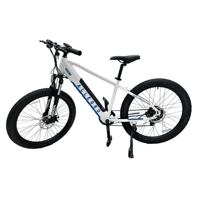 Allegro City Cruiser Electric Bike - 750W Power | 13Ah Battery | 21mph Speed | 37mi Range