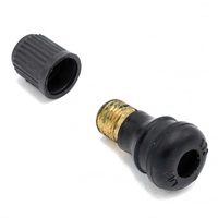 Konvertering til slangeløs luftventil