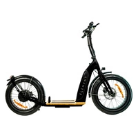 Element Bondi Electric Elektrisk scooter | Urban Performance | 500W (800W Peak) Power | 22mph Speed | 14Ah Battery | 30mi Range | 20-Inch Design | Premium Urban Transport