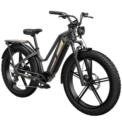 Fiido Titan Electric Bike - 750W Power | 14.5Ah Battery | 28mph Speed | 84mi Range
