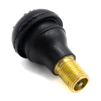 Konvertering til slangeløs luftventil