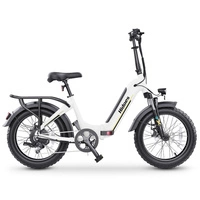 Hidoes BF1 foldbar elektrisk cykel - 750W effekt | 13Ah batteri | 25mph hastighed | 41mi rækkevidde