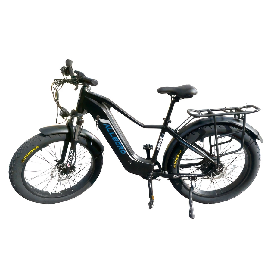 Allegro Hurricane Electric Bike - 750W Power | 20Ah Battery | 28mph Speed | 50mi Range