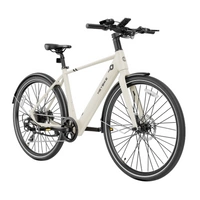 Heybike EC1 elektrisk cykel - 250W effekt | 10Ah batteri | 15.5mph hastighed | 62mi rækkevidde
