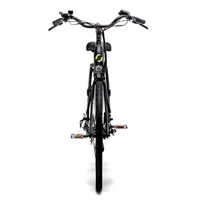 Argento Omega Electric Bike - 250W Power | 10.4Ah Battery | 15.5mph Speed | 44mi Range