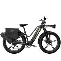 Fiido Titan Electric Bike - 750W Power | 14.5Ah Battery | 28mph Speed | 248mi Range