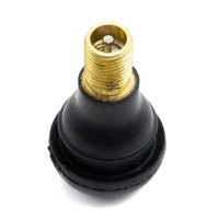 Konvertering til slangeløs luftventil