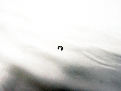 E-Clip 3Mm Pin Dia Bolt til Pure Advance